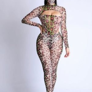 Catty Two Piece Mesh Set